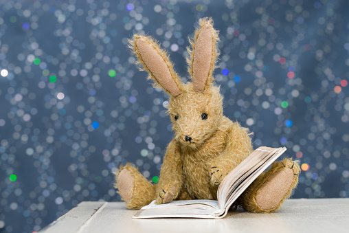 Cute toy rabbit with long ears reading a book. Blue bokeh background. Storytime, child's reading concept.