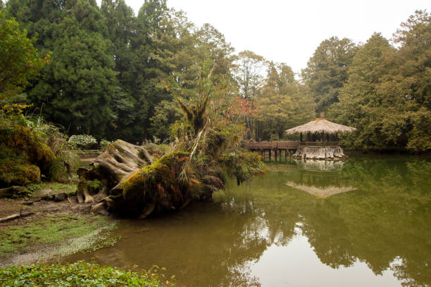 istock Two sister pond at Alishan, Taiwan 648950578
