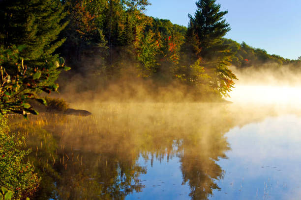 istock Reflecting Fog on small lake 648950658