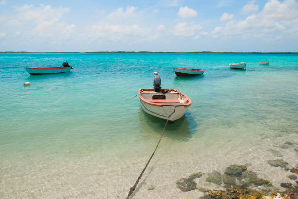 istock Lac Bay lagoon on Bonaire 648953914