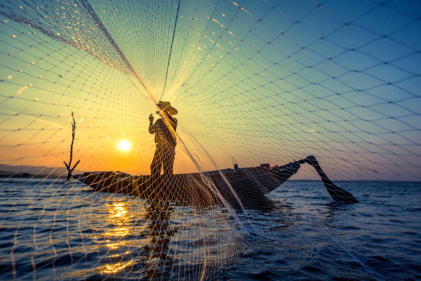 pescador  - pescador - fotografias e filmes do acervo