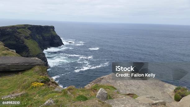 Cliffs Of Moher Stock Photo - Download Image Now - Cliff, Cliffs of Moher, Flower