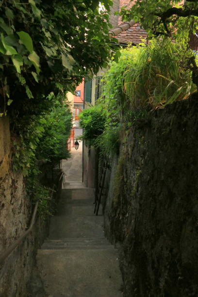 istock Narrow path and stairs in a village 648984158