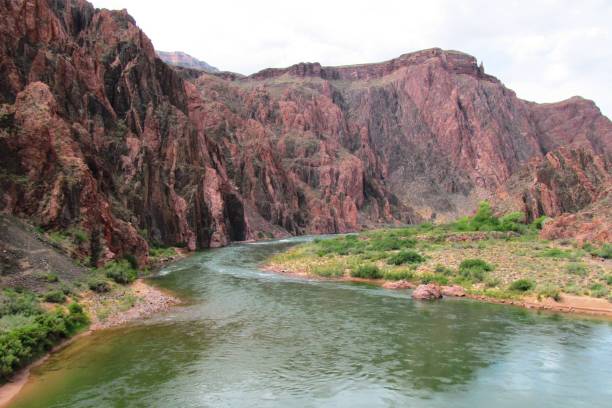 istock Colorado river in the Grand Canyon 648987058