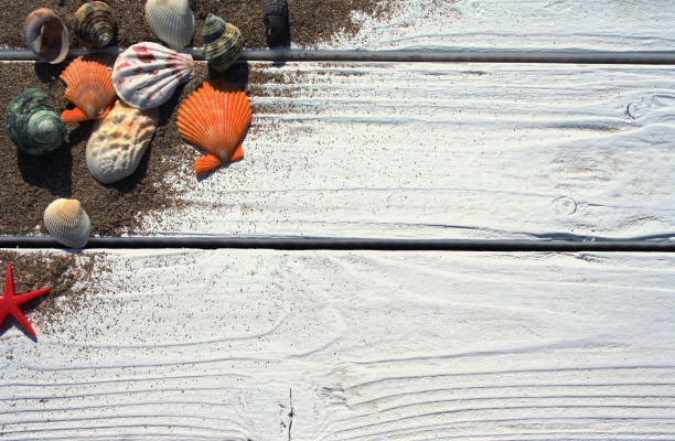 istock white wooden board with sand and shells 648990628