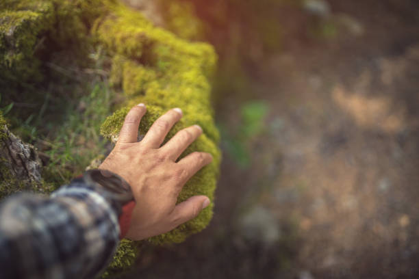 istock The Touch of Nature 648993474