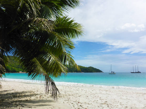 istock Tropical beach at Anse Lazio, Seychelles 649001156
