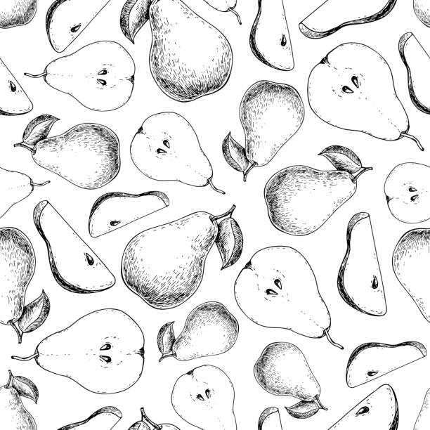 wektor gruszkowy bez szwu wzór. ręcznie rysowane pełne i pokrojone kawałki tła.  lato - nectarine peach backgrounds white stock illustrations