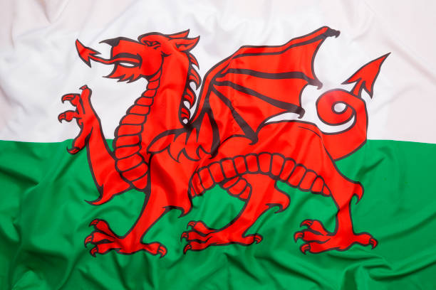 istock Flag of Wales 649008954