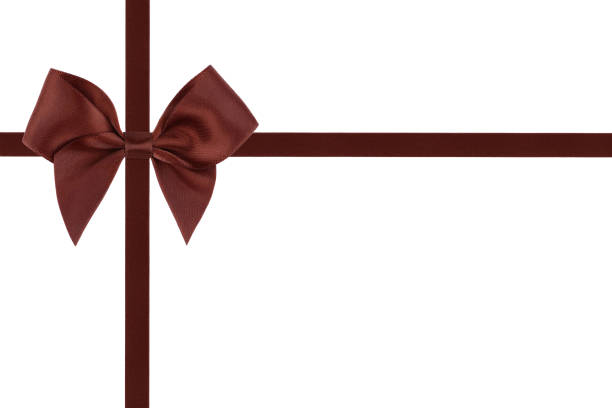 istock Brown ribbon bow isolated on white background 649012804
