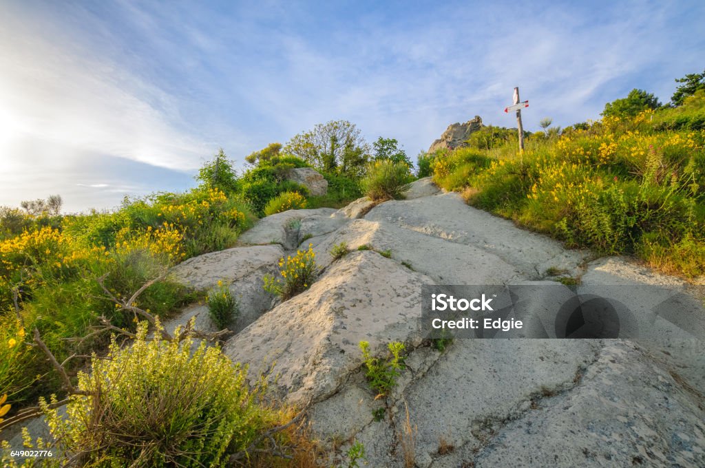 Beautiful view from path to Mount Epomeo, Ischia Island, Italy Beautiful view from path to Mount Epomeo at sunset, Ischia Island, Italy Beauty Stock Photo