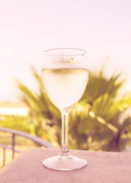 istock Glass of white wine over natural background 649025544