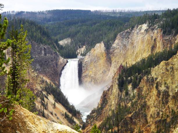istock Waterfall in Yellowstone with rock wall canyon, sky and trees 649025982