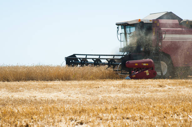istock Combine harvesters in a field of wheat 649036536