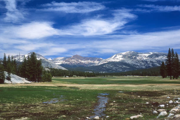 istock Tuolumne Meadows Yosemite National Park 649043214