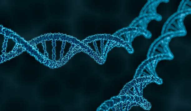 istock 3D rendered illustration of double helix DNA molecule. 649043406