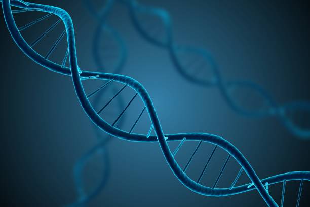 istock 3D rendered illustration of glowing DNA molecule. Genetics and microbiology concept. 649046014