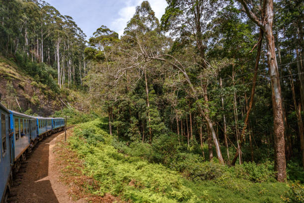 istock Train from Ella to Kandy among the jungle and mountains. 649046324