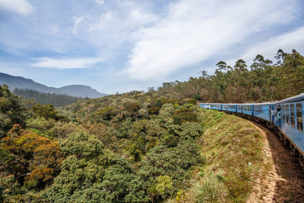 istock Train from Ella to Kandy among the jungle and mountains. 649046356