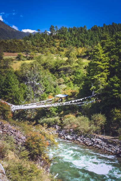 istock Wooden swinging  bridge in Yunnan 649050738