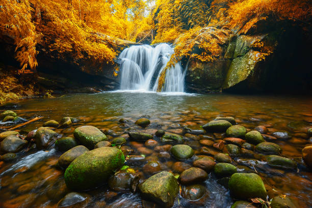 istock Phu Soi Dao waterfall national park, in Uttaradit province, Thailand. 649050754