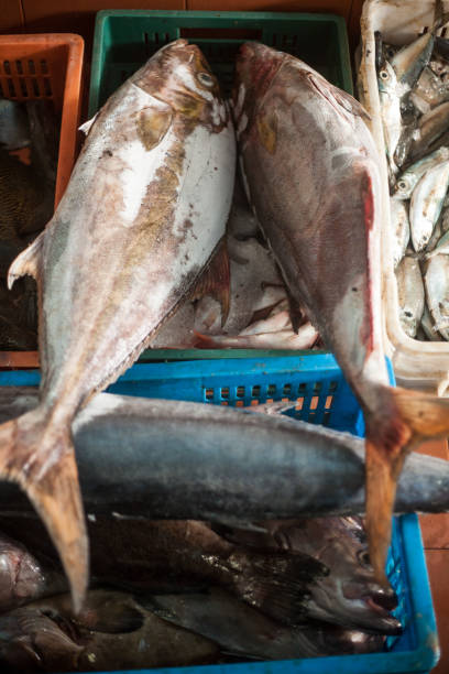 istock Fish in run down port market 649051272