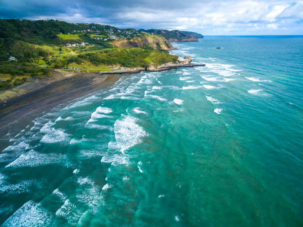 Aerial view of Muriwai Beach, Auckland / New Zealand
