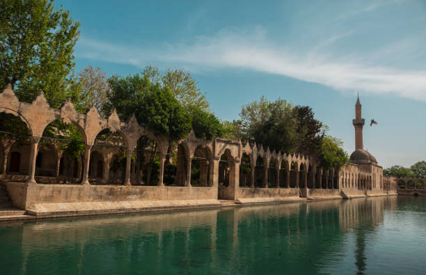 istock Fish Lake , Sanliurfa, Turkey 649060672