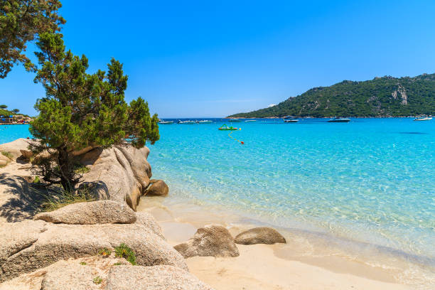 Crystal clear turquoise sea water of Santa Giulia beach, Corsica island, France Corsica is the largest French island on Mediterrenean Sea and most popular holiday destination for French people. corsica photos stock pictures, royalty-free photos & images