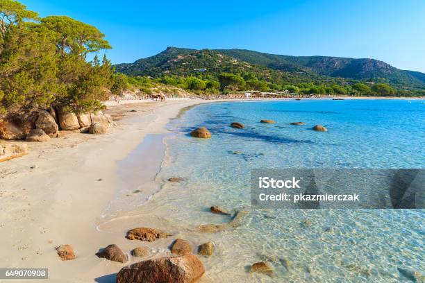 Sandy Beautiful Palombaggia Beach With Azure Sea Water Corsica Island France Stock Photo - Download Image Now