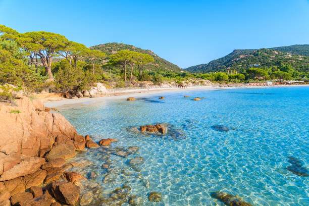 Azure crystal clear sea water of Palombaggia beach on Corsica island, France Corsica is the largest French island on Mediterranean Sea and most popular holiday destination for French people. corsica photos stock pictures, royalty-free photos & images