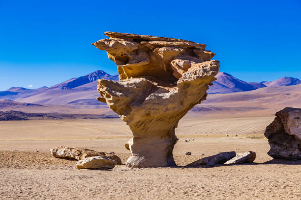 istock Stone tree rock formation in Uyuni, Bolivia 649071210