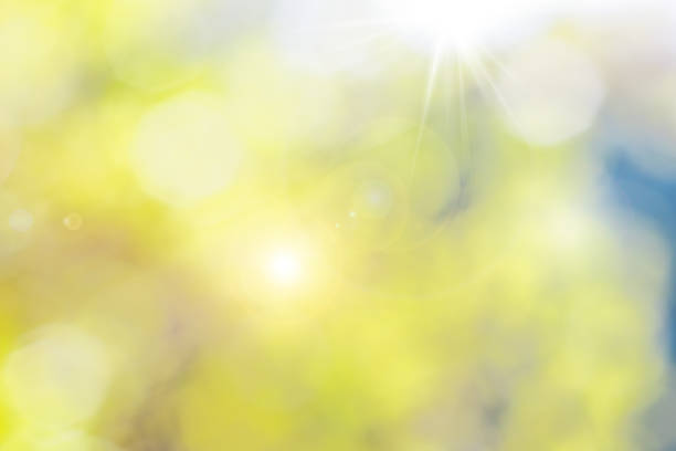istock Blurred background of a summer garden with sunlight and highlights 649073852