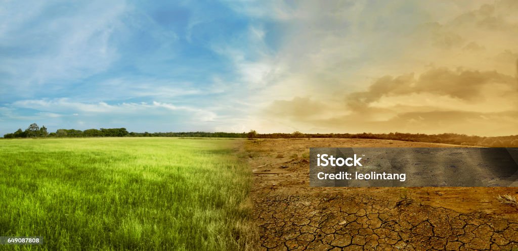 Landscape of meadow field with the changing environment Landscape of meadow field with the changing environment concept of climate change Climate Change Stock Photo