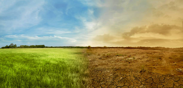 Landscape of meadow field with the changing environment Landscape of meadow field with the changing environment concept of climate change drought stock pictures, royalty-free photos & images