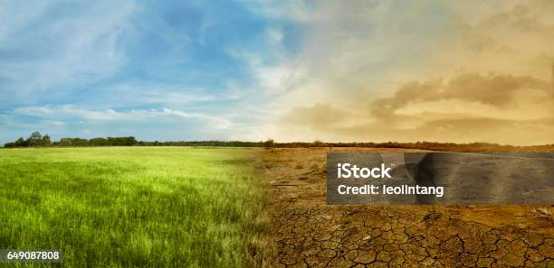 Landscape Of Meadow Field With The Changing Environment Stock Photo - Download Image Now