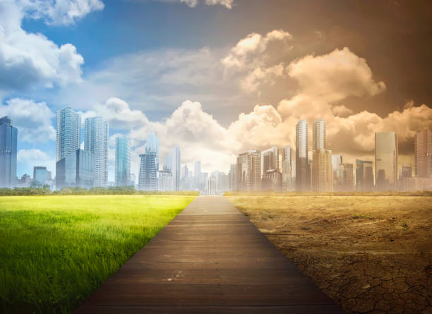 Landscape of timber pathway with the changing environment