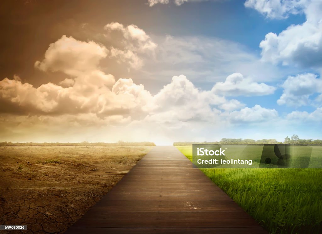 Paisaje del camino de madera con los cambios del entorno - Foto de stock de Cambio libre de derechos