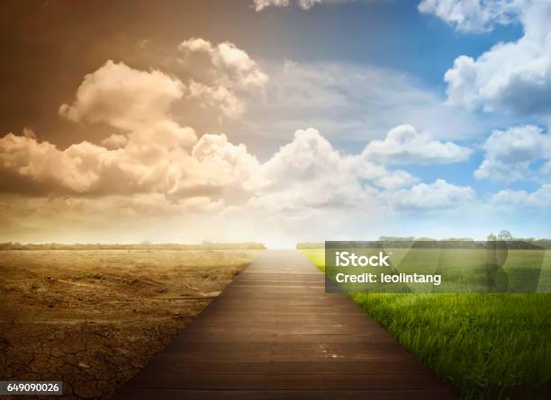 Paisaje Del Camino De Madera Con Los Cambios Del Entorno Foto de stock y más banco de imágenes de Cambio