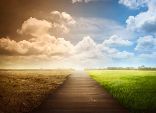 istock Landscape of wooden pathway with the changing environment 649090026