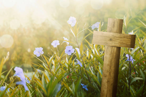 wooden cross and purple flower with sunlight - easter egg religion cross spirituality imagens e fotografias de stock