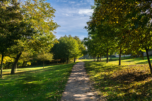 Autumn colors on a sunny day, Petrin and Kinsky parks, Prague, Czech Republic, Central Europe