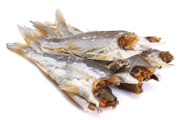 istock dried fishes （Yellow croaker）isolated on white background 649098444