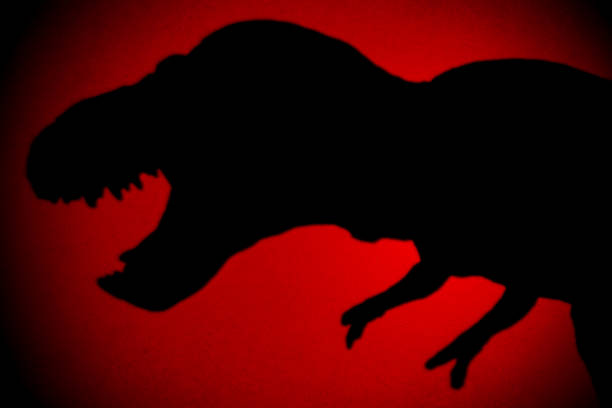 Silhouette of dinosaur on black with reflection.