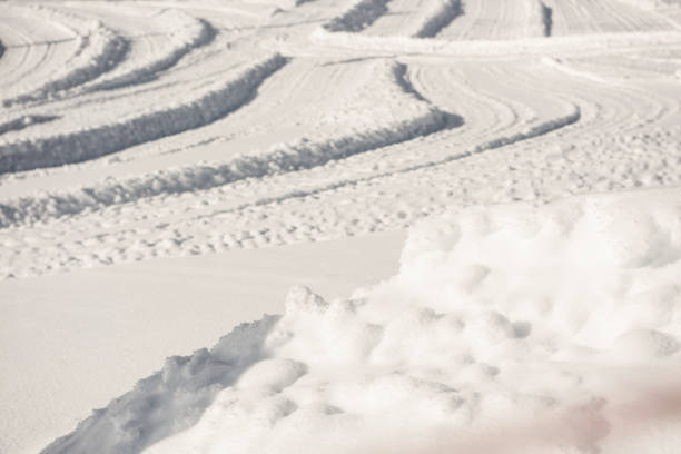 istock Ski traces on snowy landscape 649104348