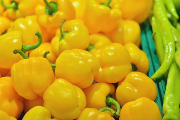 Yellow fresh pepper capsicum at market stall.