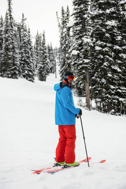 istock Skier skiing on snow covered mountains 649108512