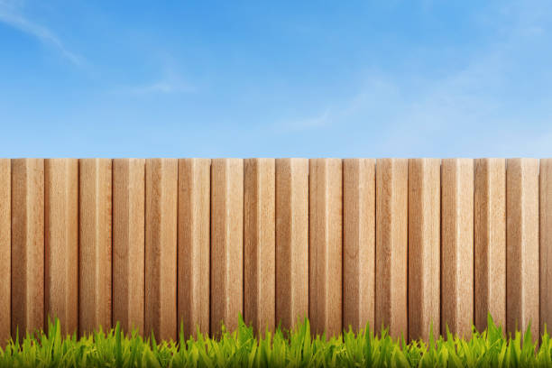 istock Green grass field with wooden fence 649108598