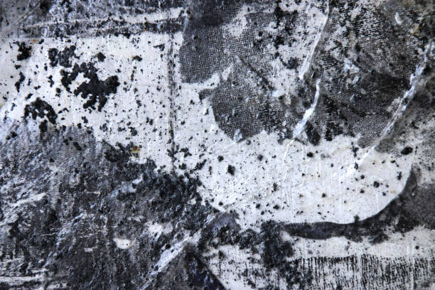 istock Black and white Abstract art background.Dot, line and textures transfer and mixed media on board. Modern art. Contemporary art. 649115584