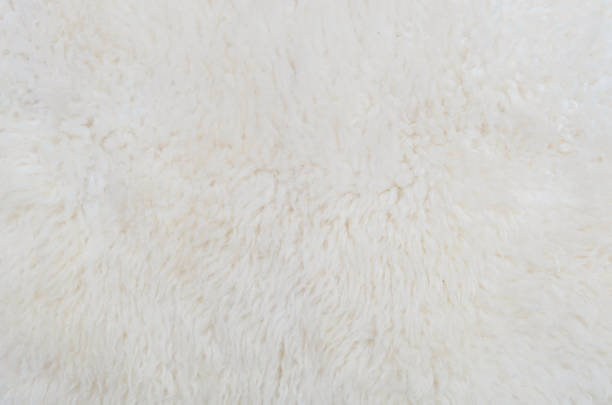 istock Closeup surface abstract fabric pattern at the white fabric carpet made from wool at the floor of house texture background 649125906